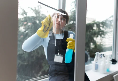 Nettoyage de vitres intérieures et extérieures à Fougerolles-du-Plessis